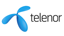 Key Accounts Manager i IT Auditor u Telenoru