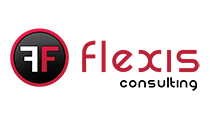 Stručna praksa u agenciji Flexis Consulting