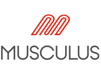musculus