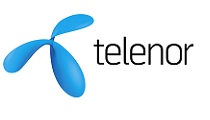 Marketing Strategy Project Manager - Telenor