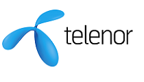 Service Desk Analyst - Telenor